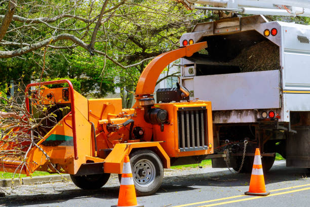 Best Arborist Consultation Services  in Lisbon Falls, ME