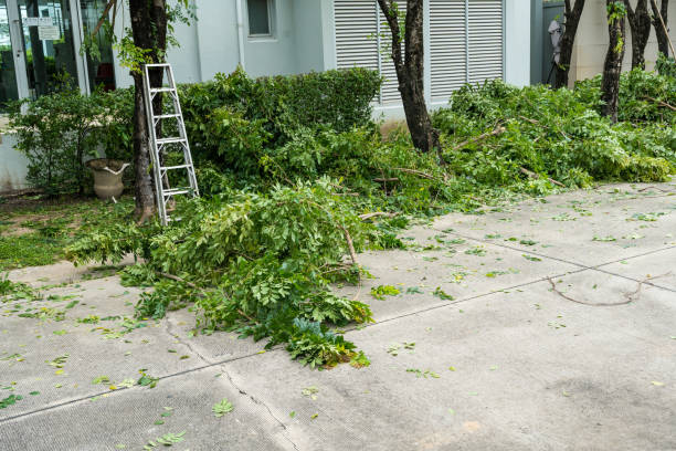 How Our Tree Care Process Works  in  Lisbon Falls, ME